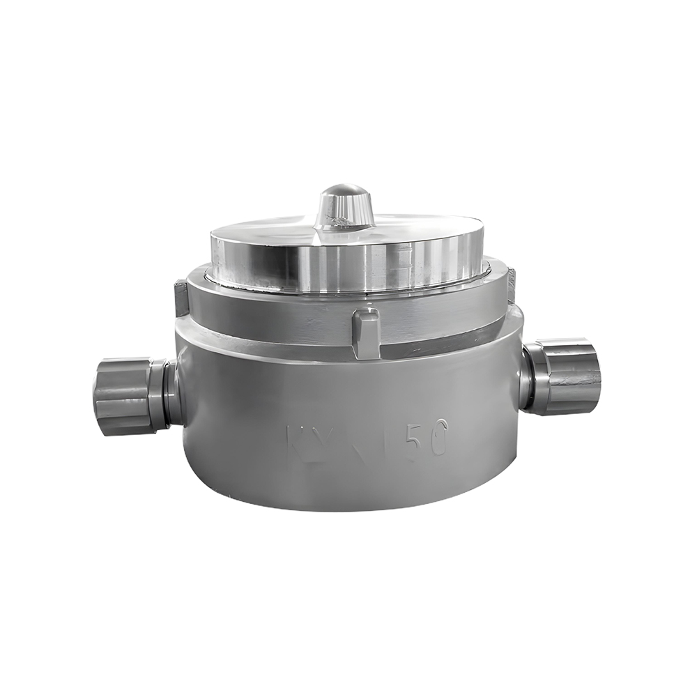 Kobieta John Morris Blank Cap